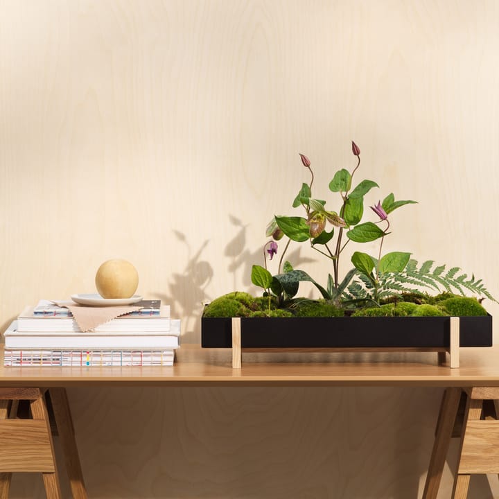 Botanic フラワー トレイ フラワー ボックス, black Design House Stockholm | デザインハウス ストックホルム