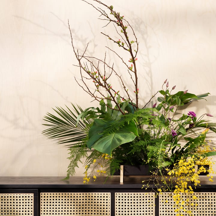 Botanic フラワー トレイ フラワー ボックス, black Design House Stockholm | デザインハウス ストックホルム