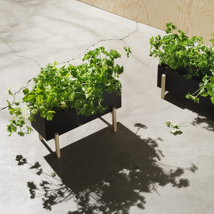 Botanic herb ボックス, black-box Design House Stockholm | デザインハウス ストックホルム