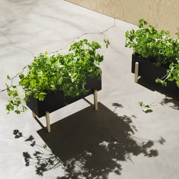 Botanic herb ボックス - black-box - Design House Stockholm | デザインハウス ストックホルム
