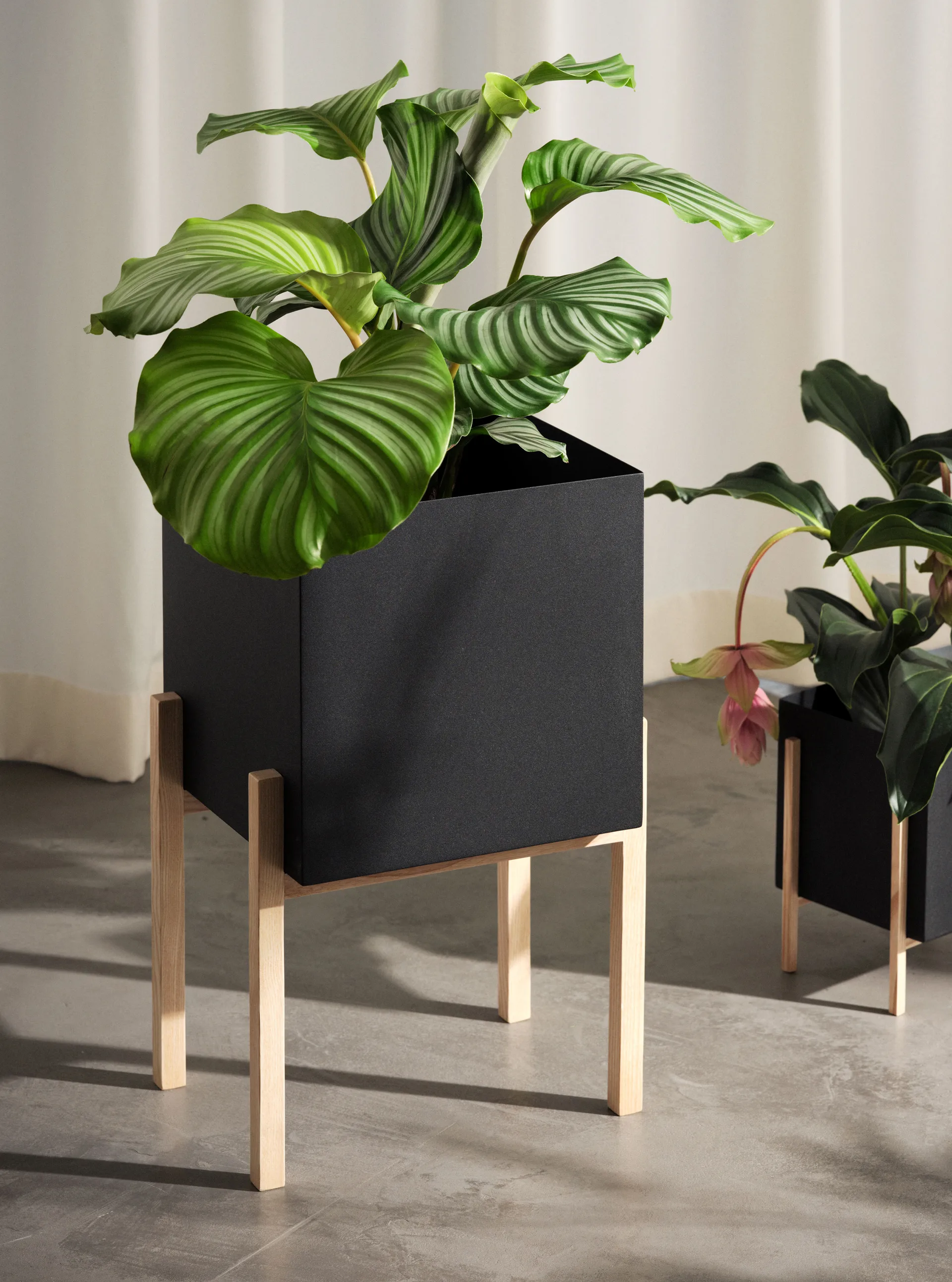 Botanic pedestal 植木鉢, Black-box Design House Stockholm | デザインハウス ストックホルム