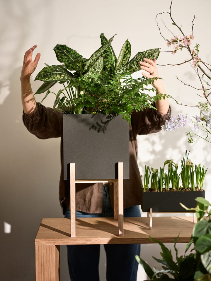 Botanic pedestal 植木鉢, Black-box Design House Stockholm | デザインハウス ストックホルム