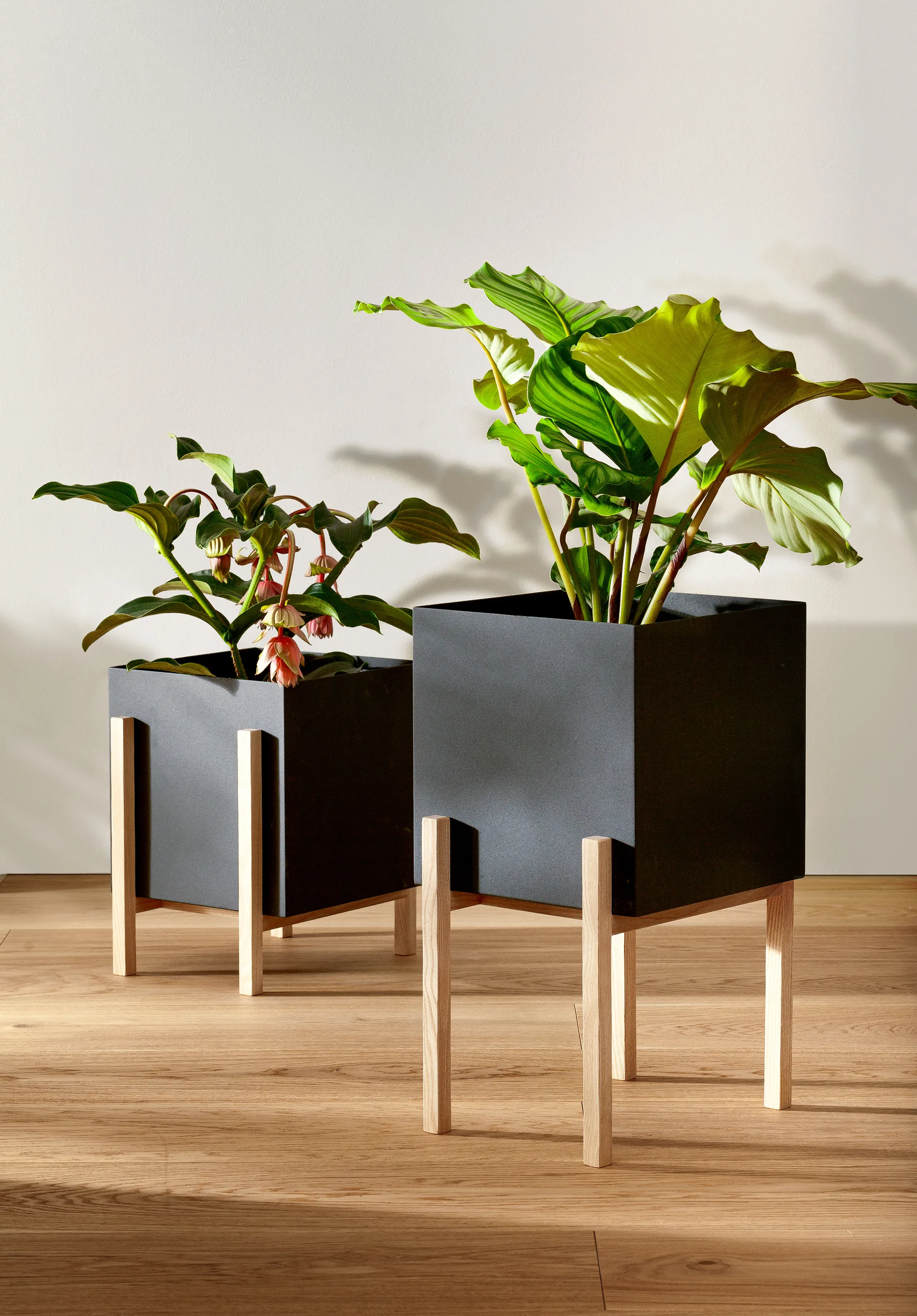 Botanic pedestal 植木鉢, Black-box Design House Stockholm | デザインハウス ストックホルム
