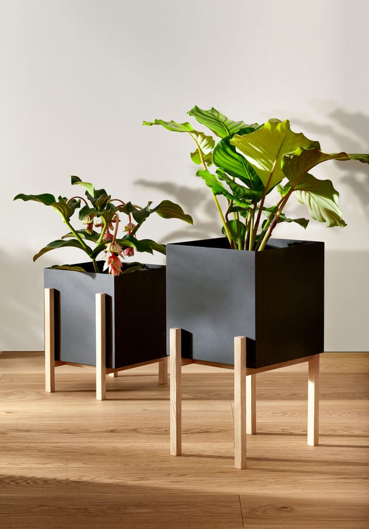 Botanic pedestal 植木鉢, Black-box Design House Stockholm | デザインハウス ストックホルム