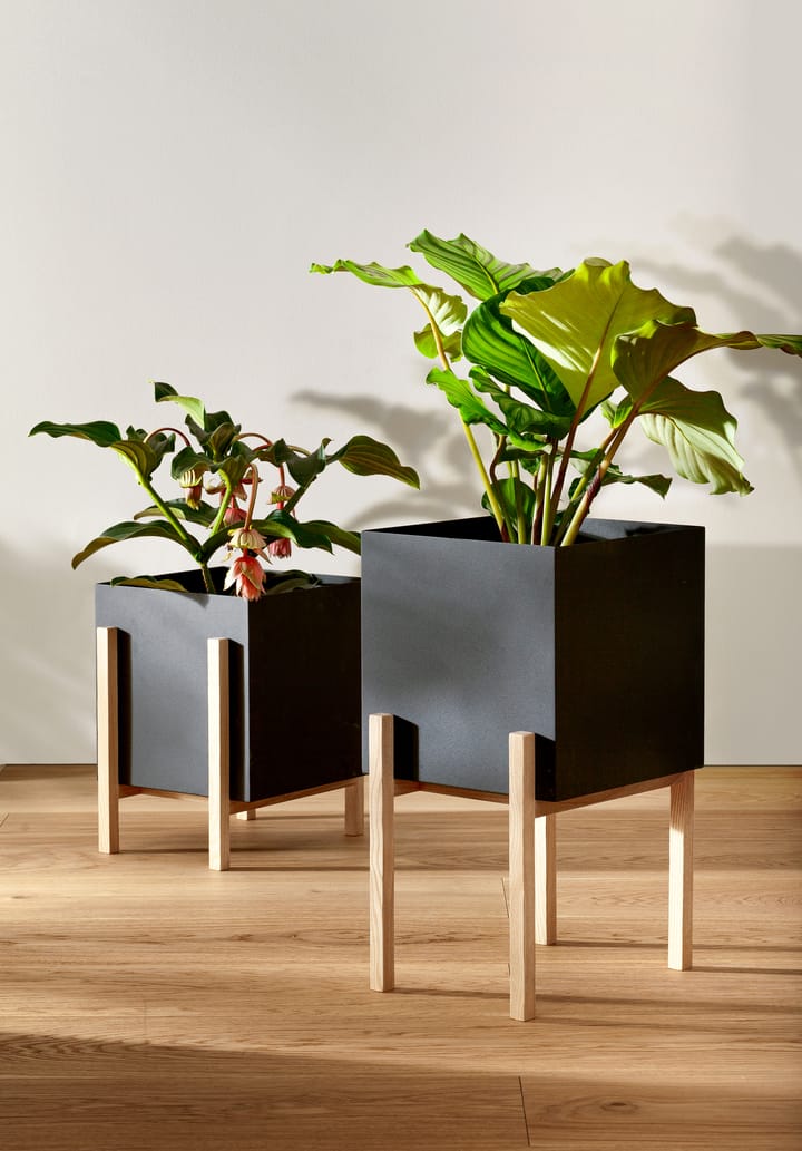 Botanic pedestal 植木鉢 - Black-box - Design House Stockholm | デザインハウス ストックホルム