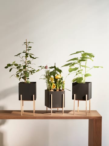 Botanic pedestal 植木鉢 - Black-box - Design House Stockholm | デザインハウス ストックホルム