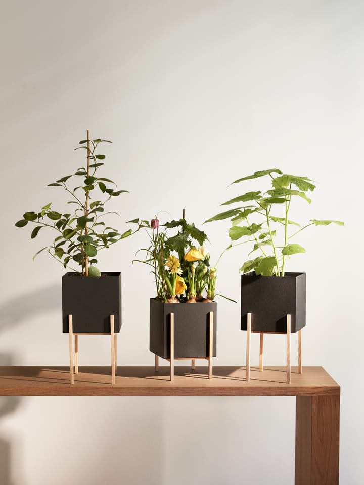 Botanic pedestal 植木鉢 - Black-box - Design House Stockholm | デザ��インハウス ストックホルム
