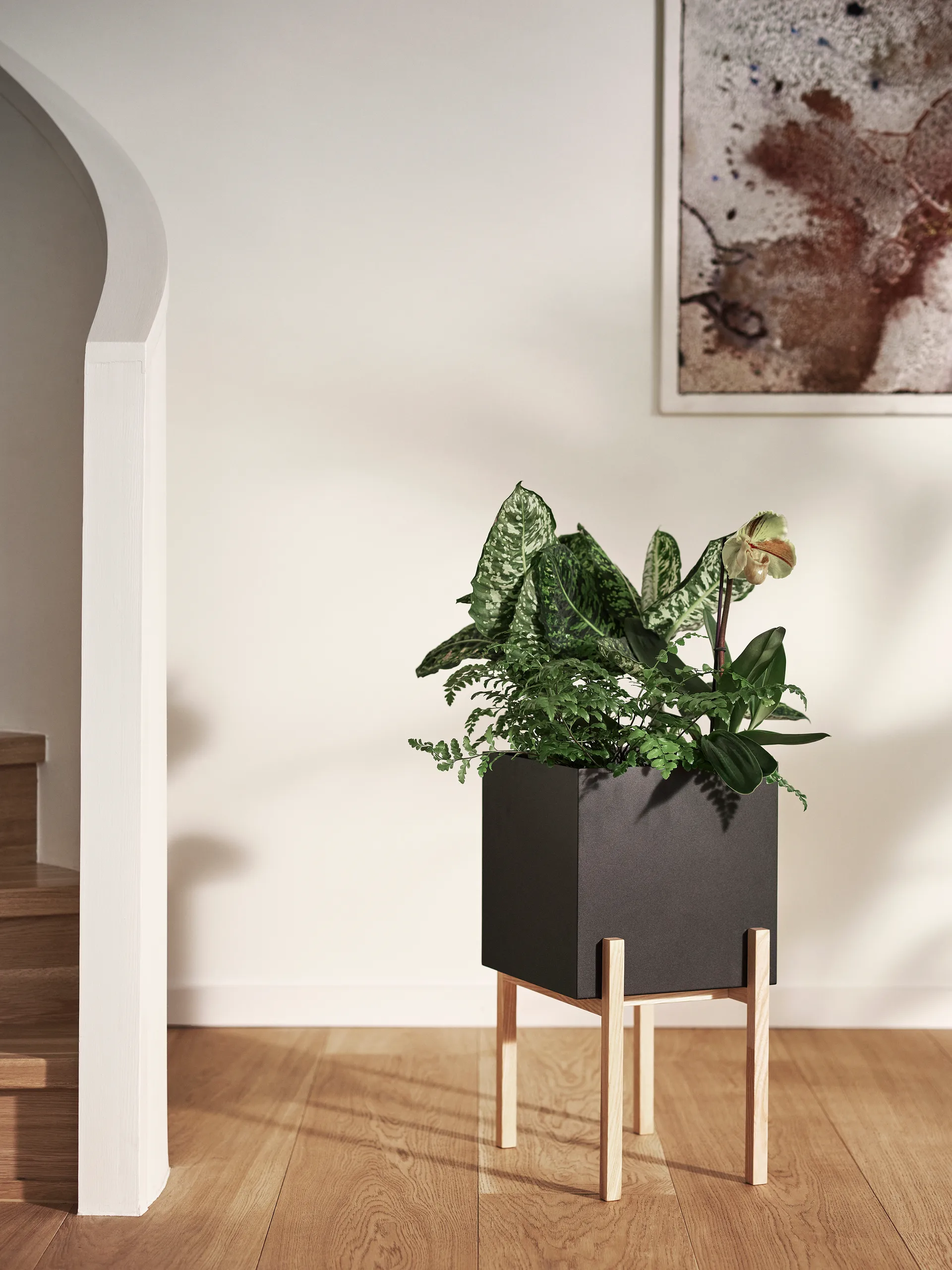 Botanic pedestal 植木鉢, Black-box Design House Stockholm | デザインハウス ストックホルム