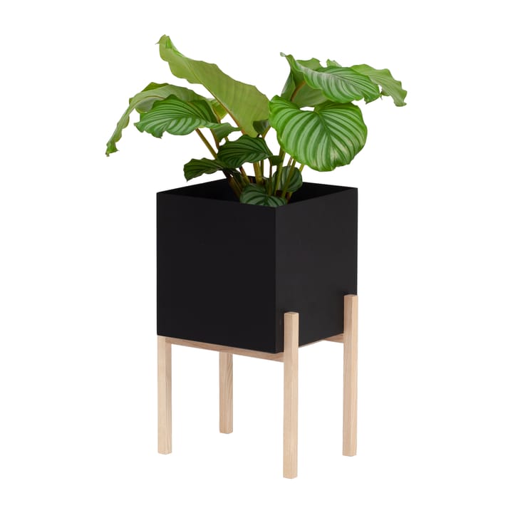 Botanic pedestal 植木鉢 - Black-box - Design House Stockholm | デザインハウス ストックホルム