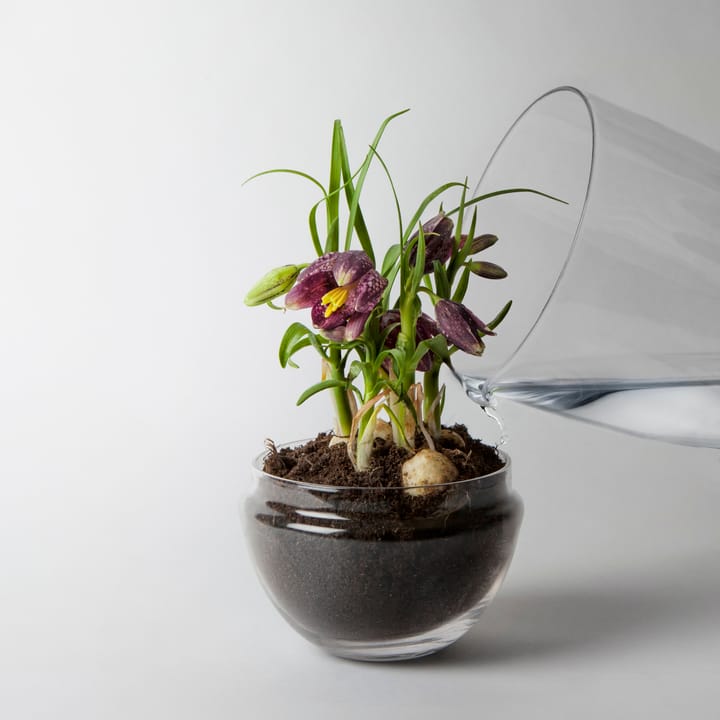 Grow グリーンハウス, Medium Design House Stockholm | デザインハウス ストックホルム