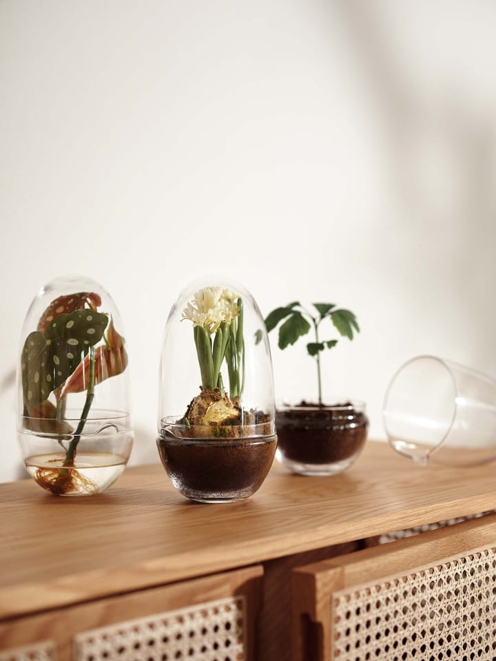 Grow グリーンハウス, Medium Design House Stockholm | デザインハウス ストックホルム