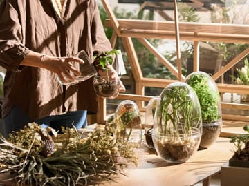 Grow �グリーンハウス - Medium - Design House Stockholm | デザインハウス ストックホルム