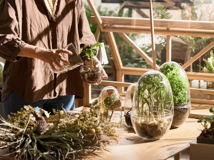 Grow グリーンハウス, Medium Design House Stockholm | デザインハウス ストックホルム