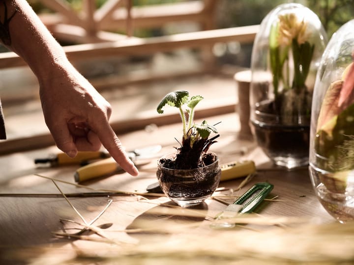 Grow グリーンハウス, small Design House Stockholm | デザインハウス ストックホルム