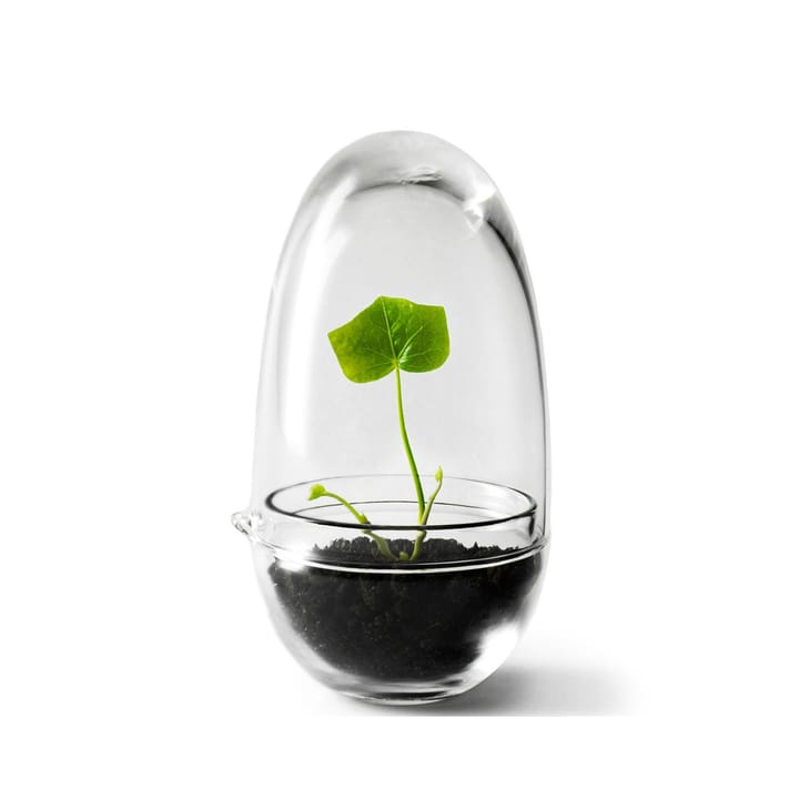 Grow グリーンハウス - small - Design House Stockholm | デザインハウス ストックホルム