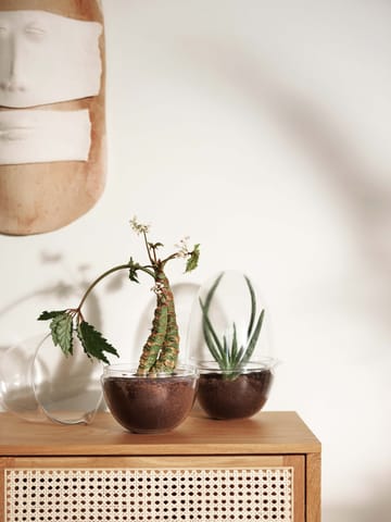 Grow グリーンハウス - x-large - Design House Stockholm | デザインハウス ストックホルム