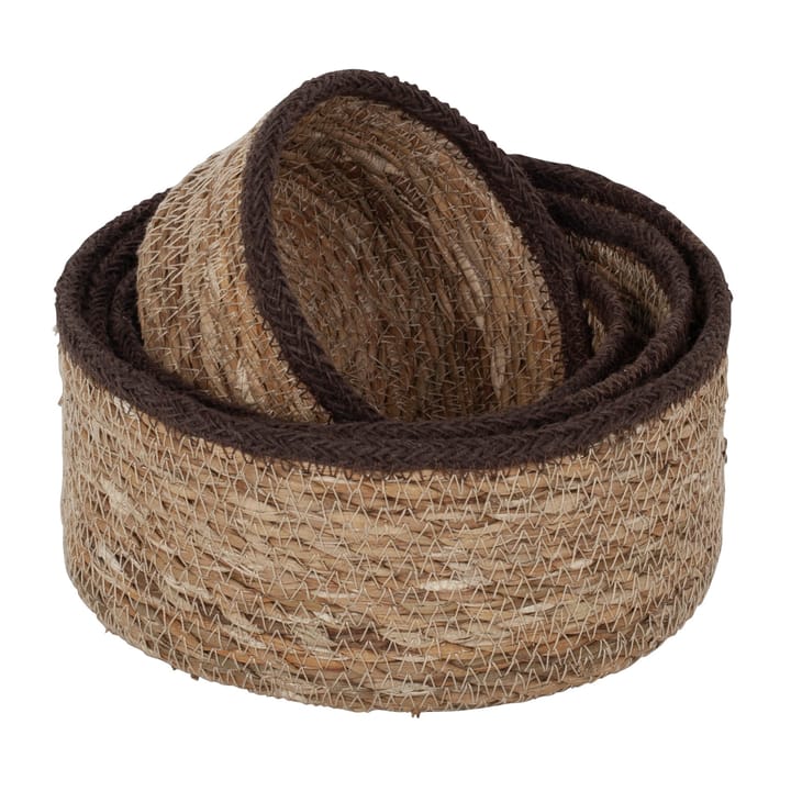 Emil シーグラス ボックス S 4パック - Natural-brown - Dixie | ディキシー