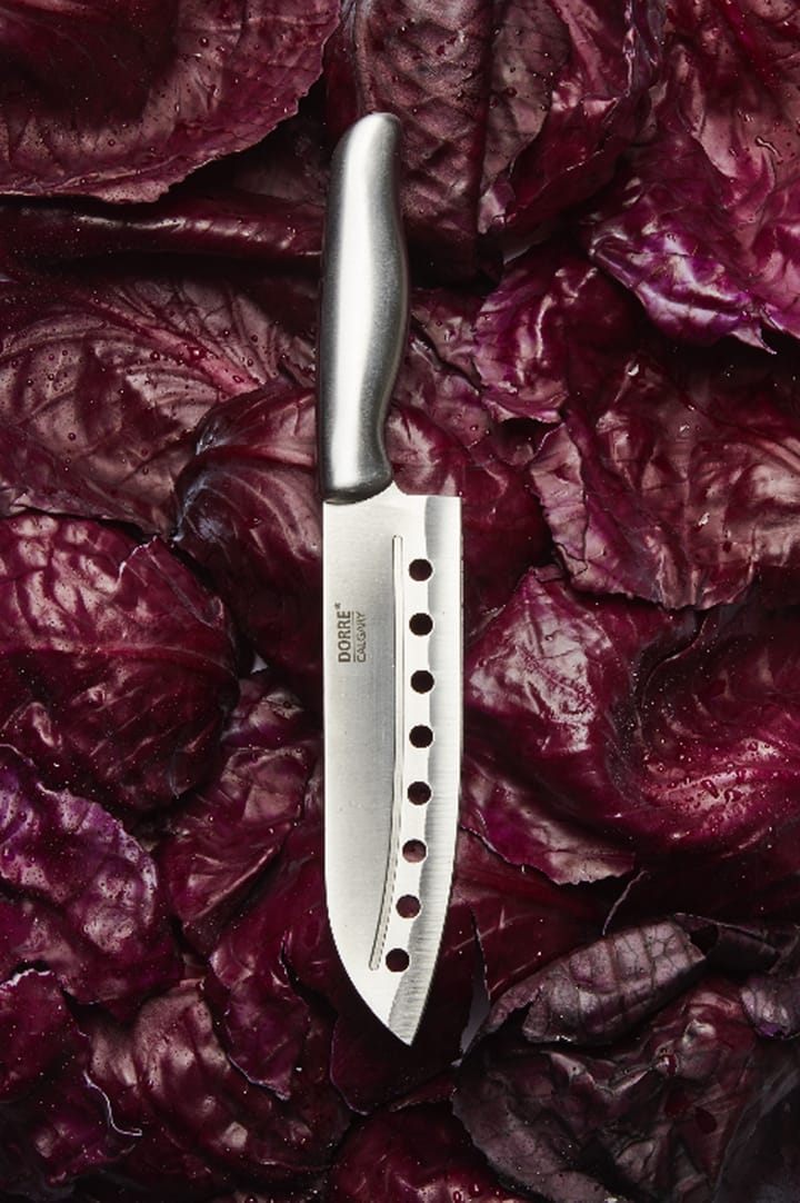 Calgary ナイフセット 5ピース, Stainless steel Dorre