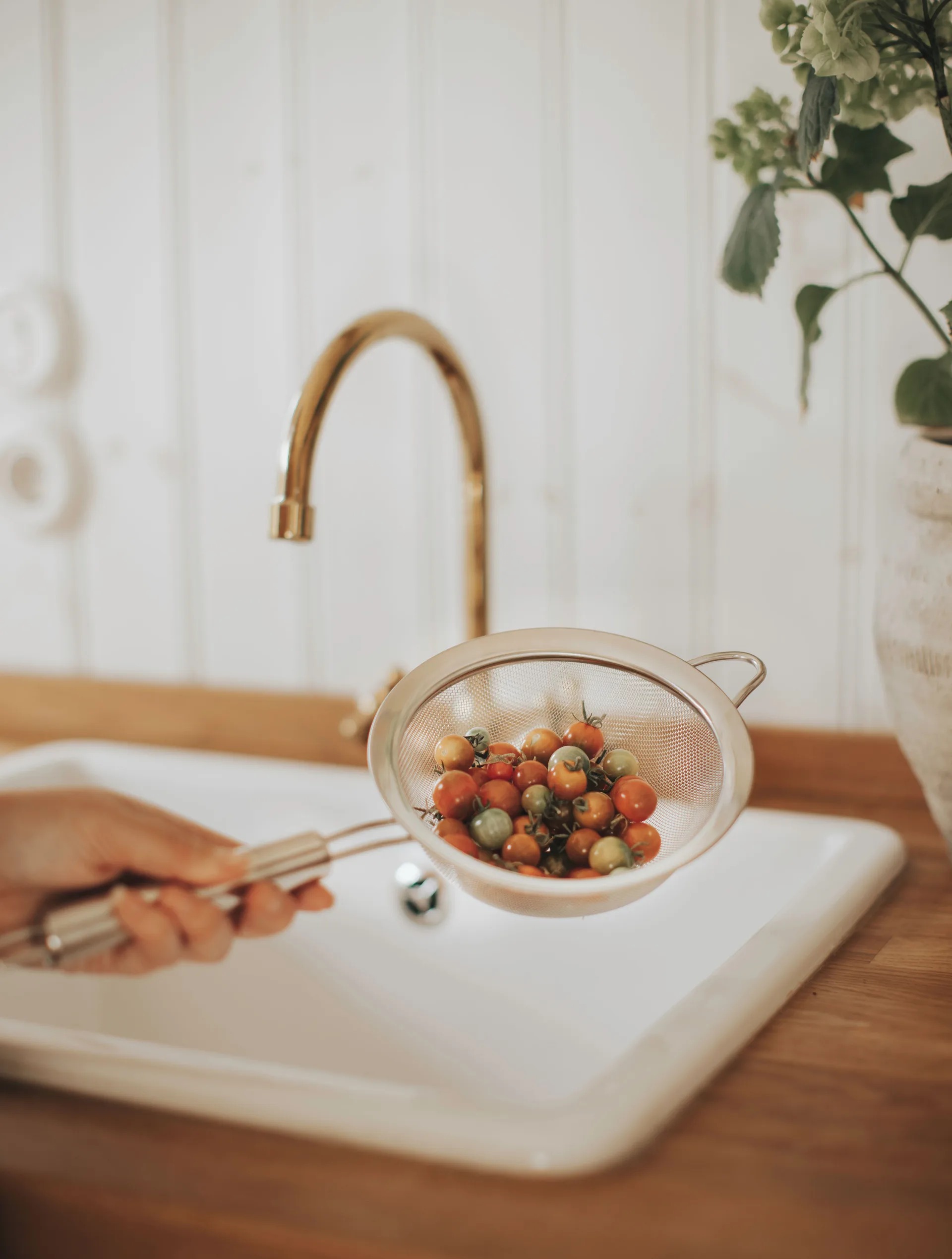 Pia ざる Ø16 cm, Stainless steel Dorre