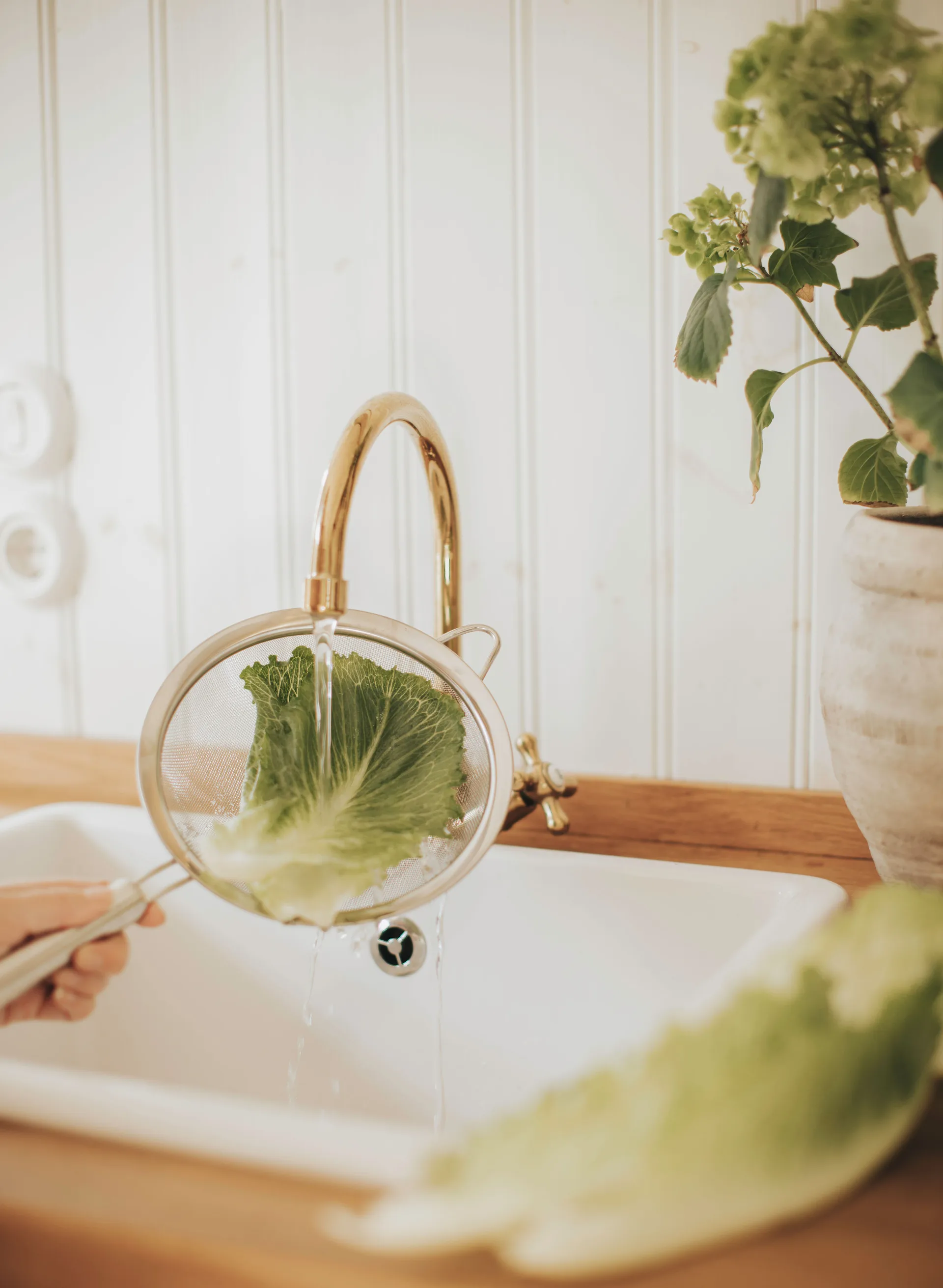 Pia ざる Ø20 cm, Stainless steel Dorre