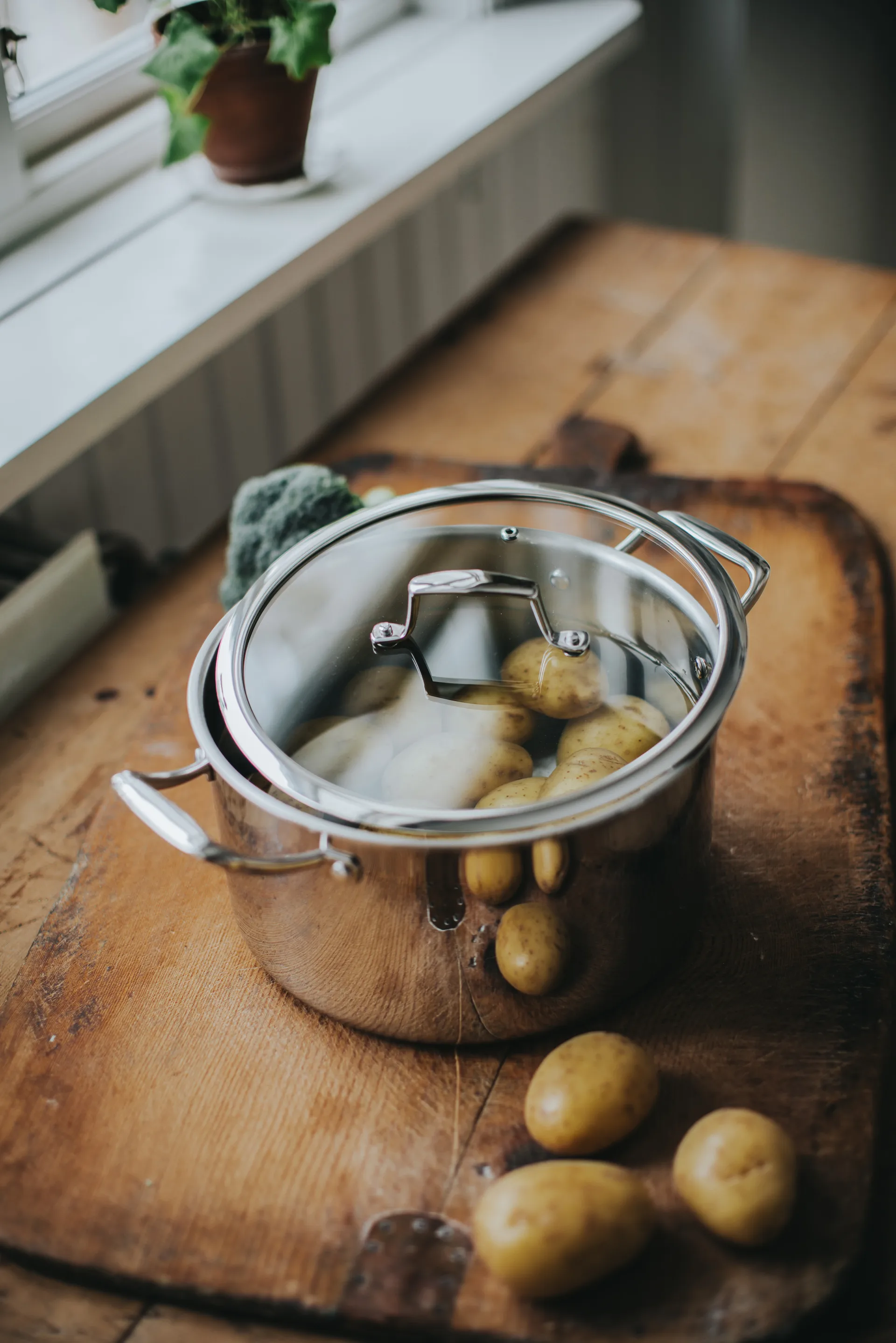 Trivence ポット, Stainless steel, glass lid, 5 L Dorre