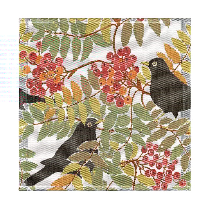 Koltrast ファブリックナプキン 35x35 cm - Multi - Ekelund Linneväveri