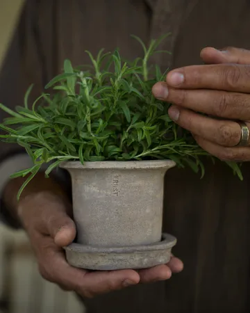 Ernst テラコッタポット 受け皿付き - Ø12x10 cm - ERNST | エルンスト