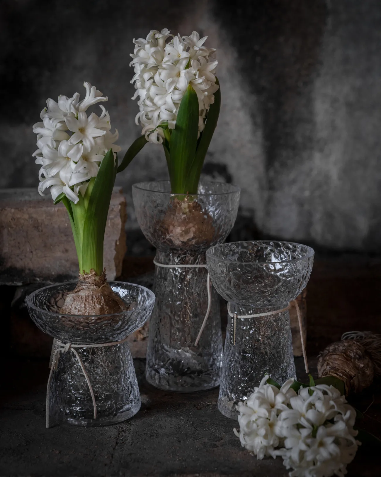 Ernst オニオンベース パターン, 15 cm ERNST | エルンスト