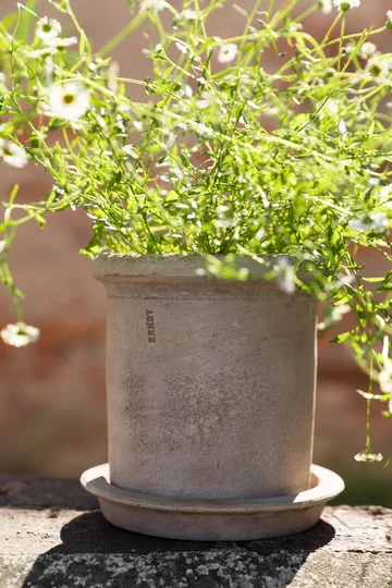 Ernst テラコッタポット 受け皿付き - Ø16x16 cm - ERNST | エルンスト