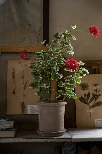 Ernst テラコッタポット 受け皿付き - Ø20x20 cm - ERNST | エルンスト