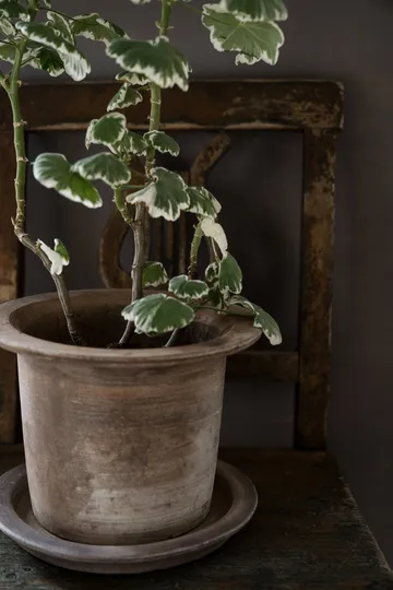 Ernst テラコッタポット & ソーサー - Ø24x17 cm - ERNST | エルンスト