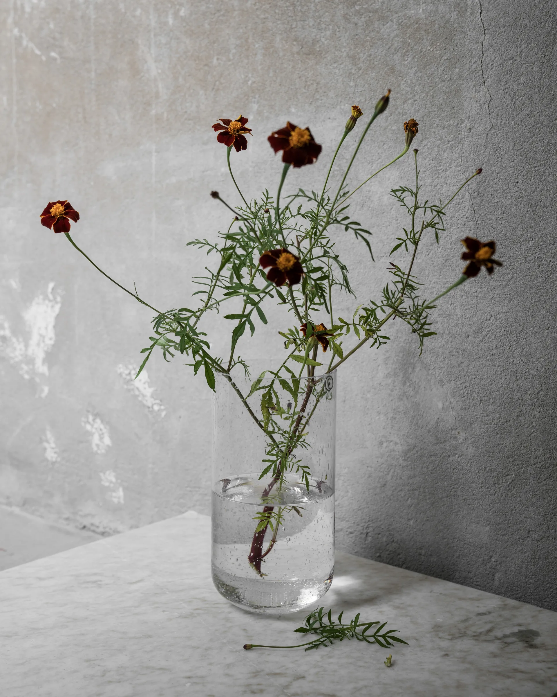 Ernst 花瓶 バブリー 25 cm, Clear ERNST | エルンスト