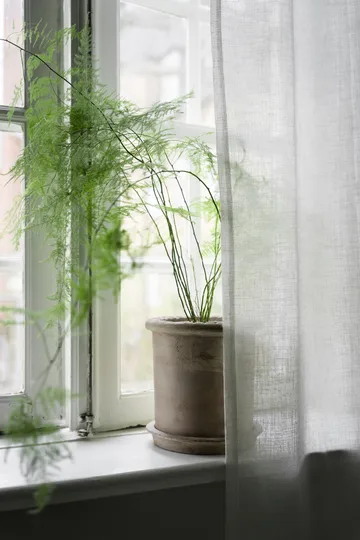 Ernst テラコッタポット 受け皿付き - Ø25x28 cm - ERNST | エルンスト