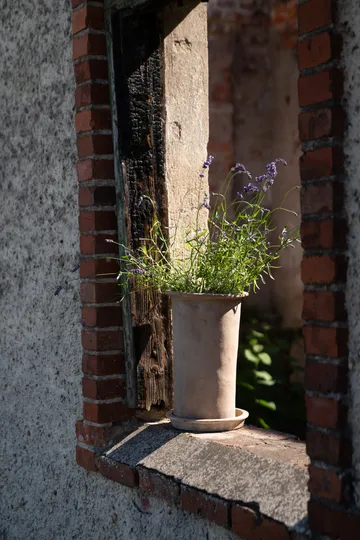 Ernst テラコッタポット 受け皿付き - Ø25x35 cm - ERNST | エルンスト