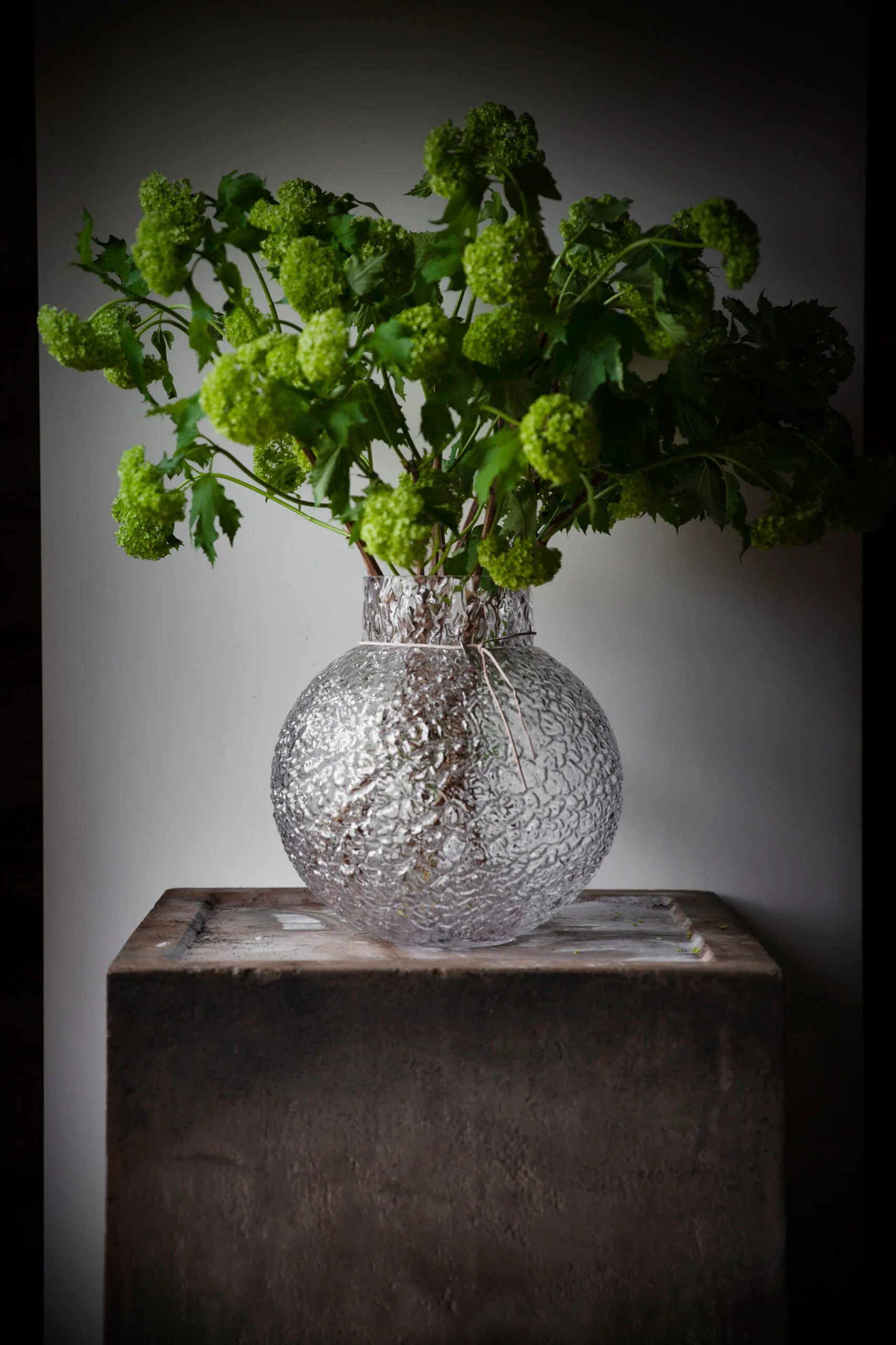 Ernst ストラクチャーガラス 花瓶 クリア, Ø29 cm ERNST | エルンスト