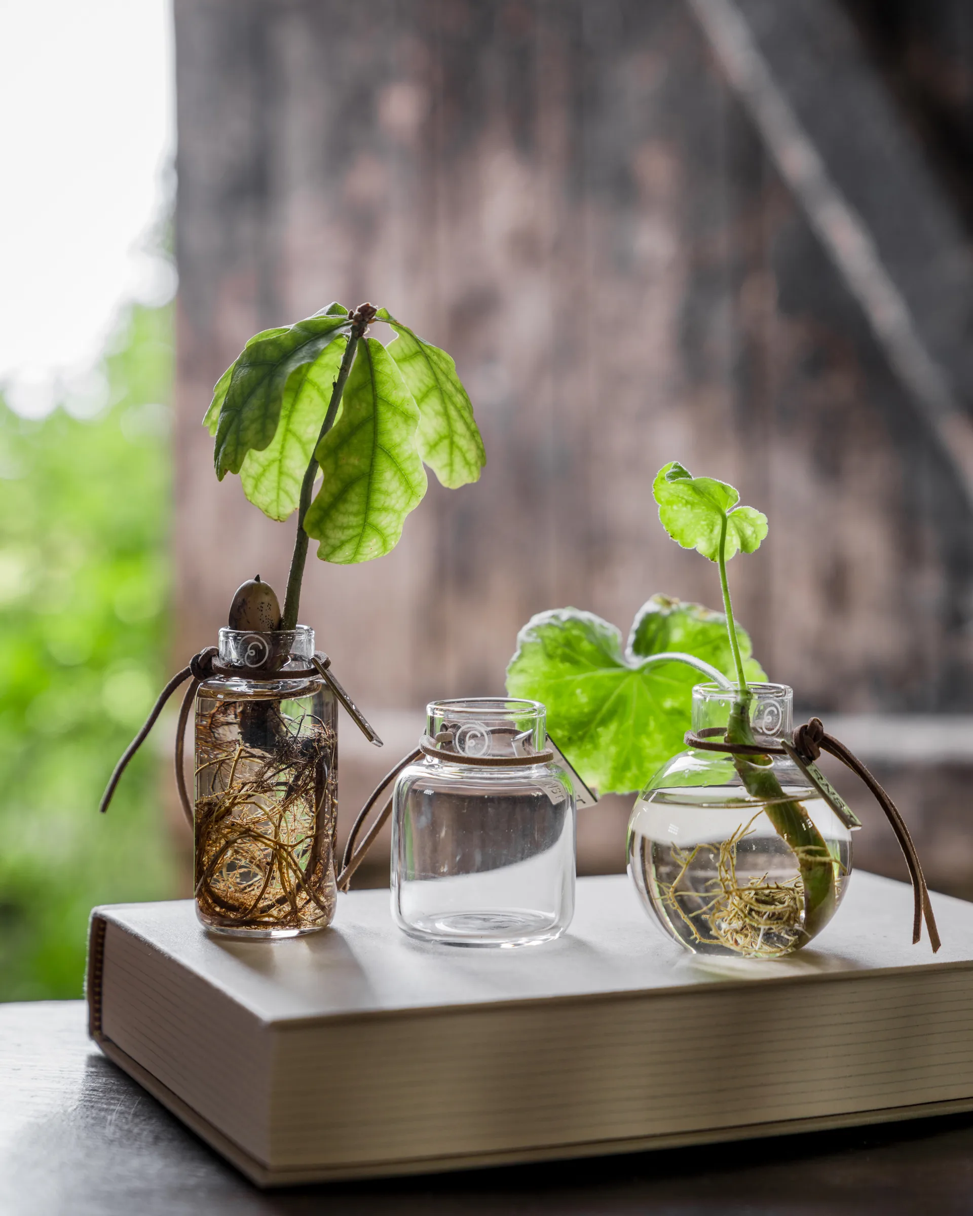 Ernst 花瓶 ギフトセット 3ピース, Clear ERNST | エルンスト