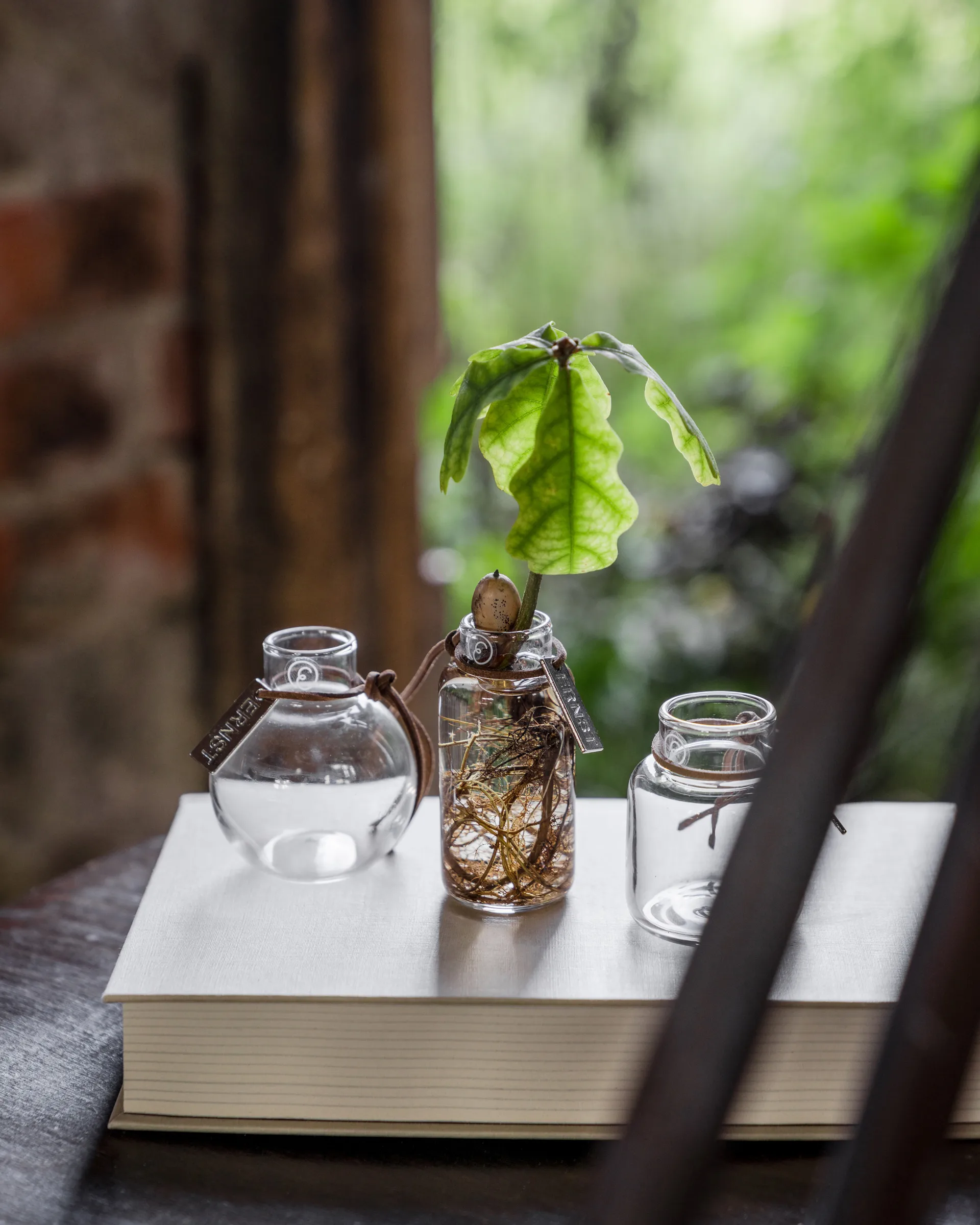 Ernst 花瓶 ギフトセット 3ピース, Clear ERNST | エルンスト