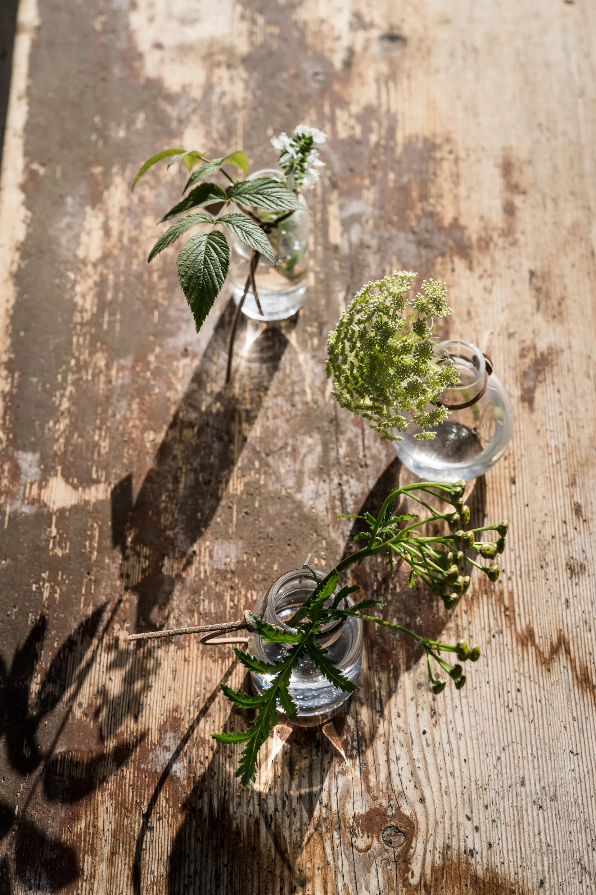 Ernst 花瓶 ギフトセット 3ピース, Clear ERNST | エルンスト