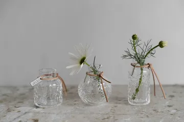 Ernst パターンドベース ギフトセット 3点セット - Clear - ERNST | エルンスト