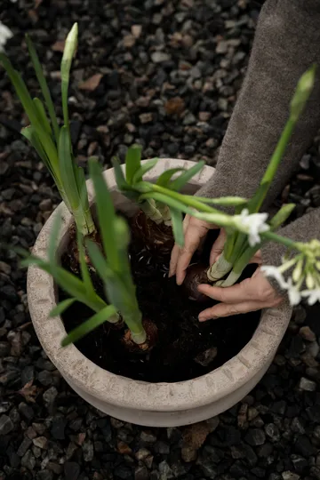 Ernst テラコッタポット 受け皿付き - Ø33x12 cm - ERNST | エルンスト