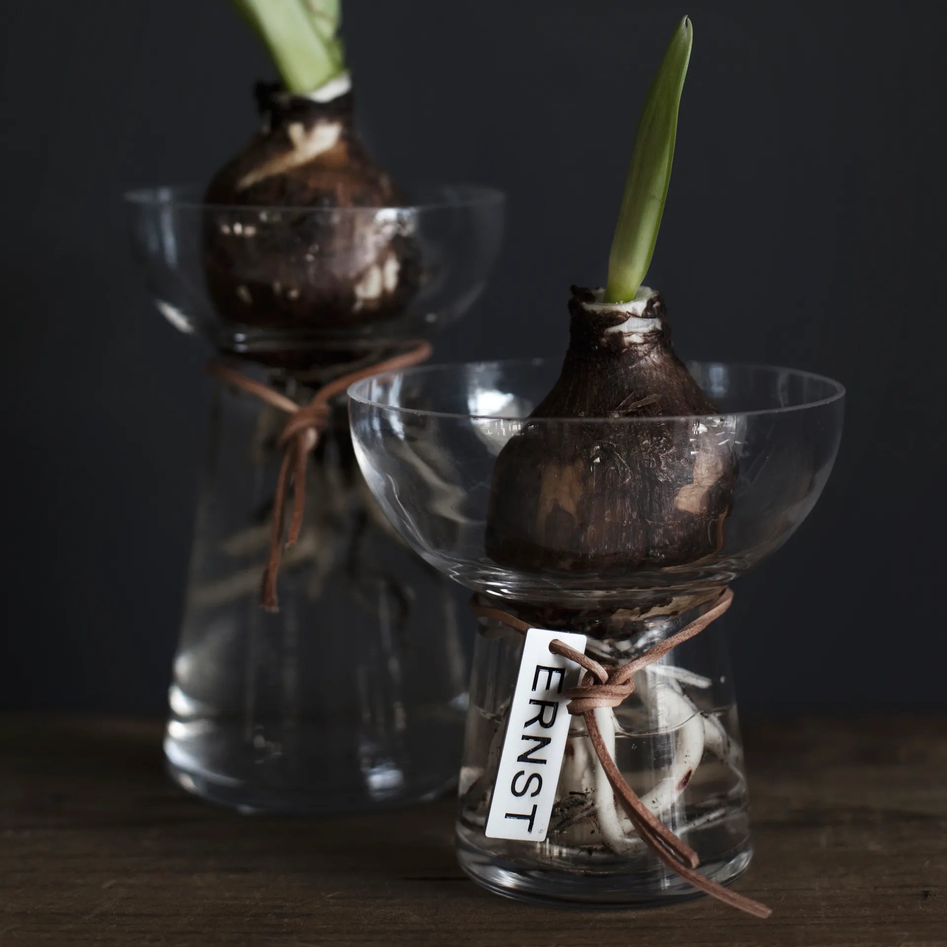 Ernst Hyacinth 花瓶 11 cm, Clear ERNST | エルンスト