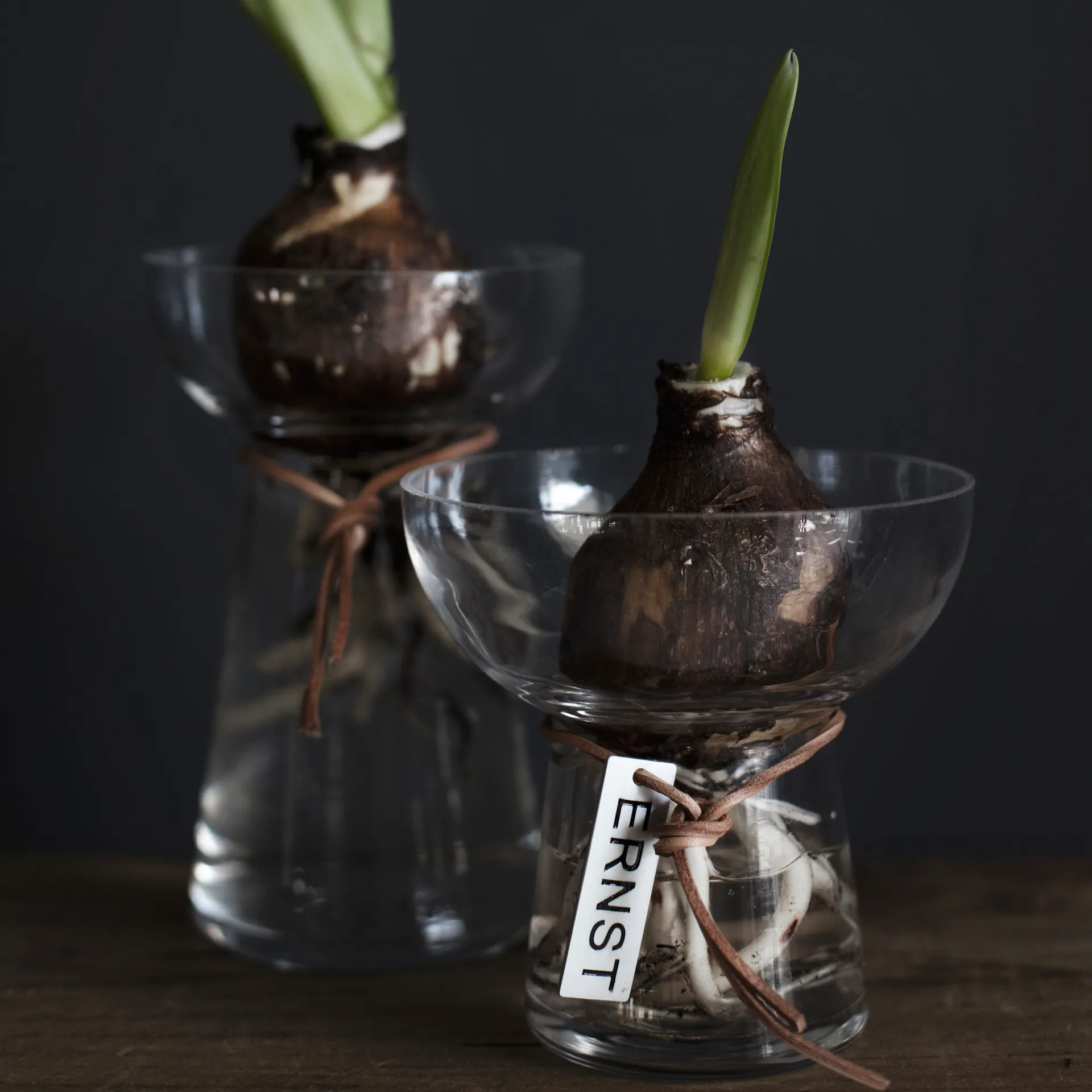 Ernst Hyacinth 花瓶 15 cm, Clear ERNST | エルンスト