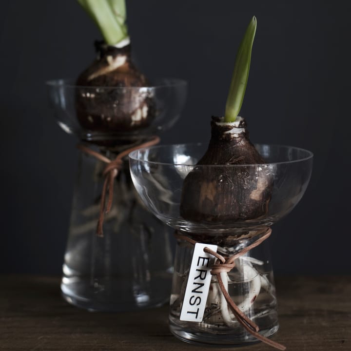 Ernst Hyacinth 花瓶 15 cm, Clear ERNST | エルンスト