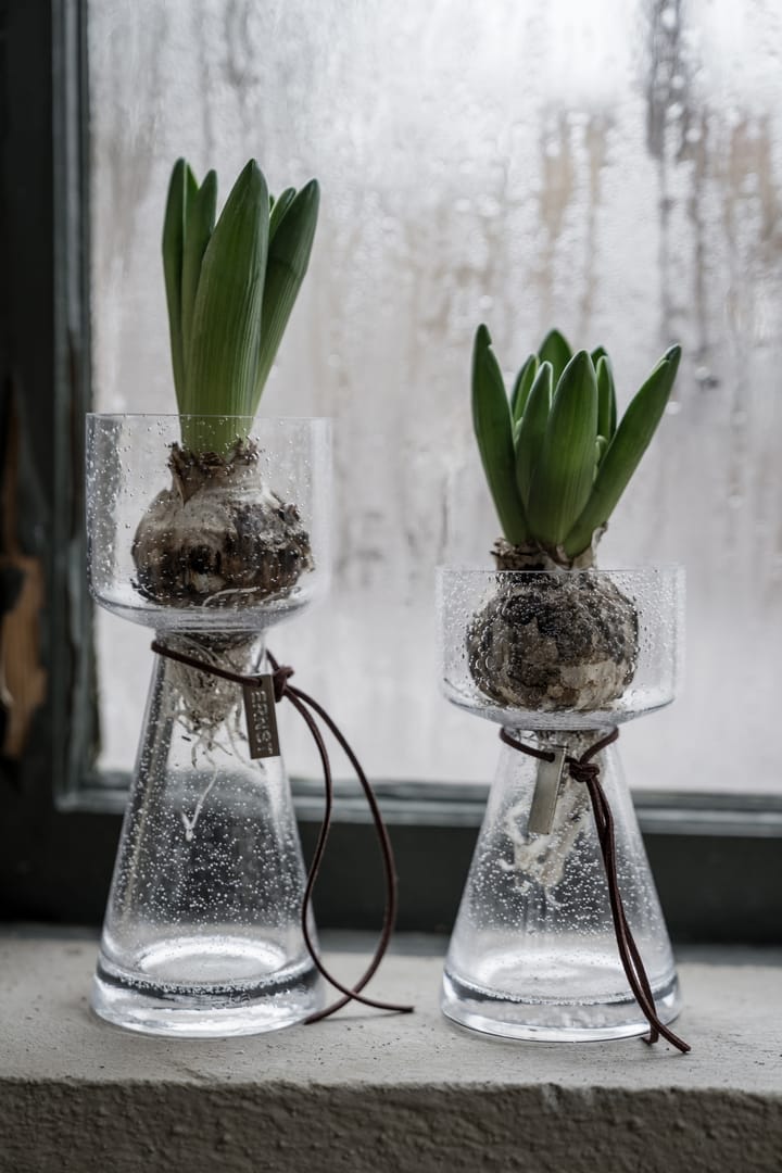 Ernst onion 花瓶 bubbly glass, 20 cm ERNST | エルンスト