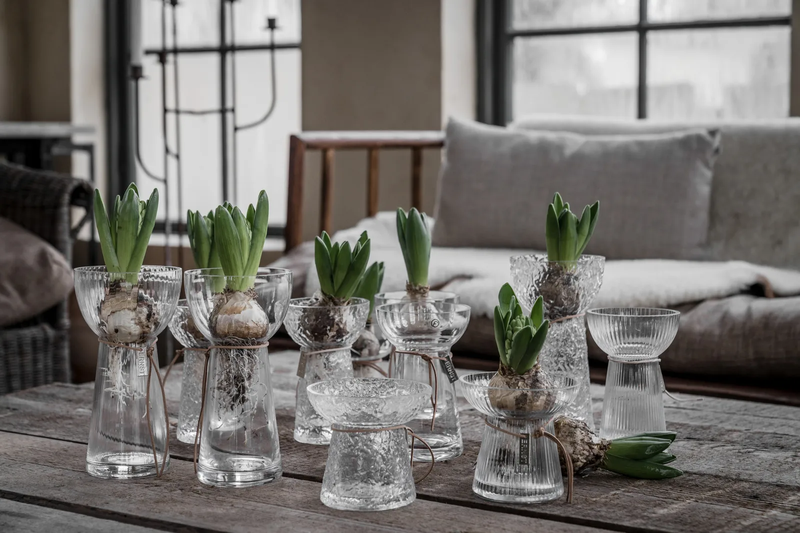 Ernst onion 花瓶 glass, 19 cm ERNST | エルンスト