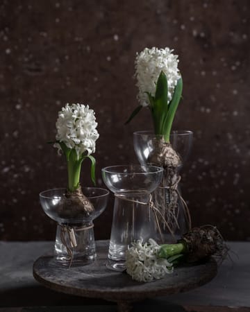 Ernst onion 花瓶 glass - 19 cm - ERNST | エルンスト