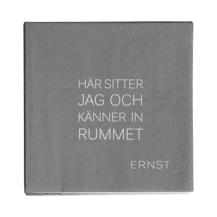Ernst ナプキン with citat Tid-Rum 20パック - Grey - ERNST | エルンスト