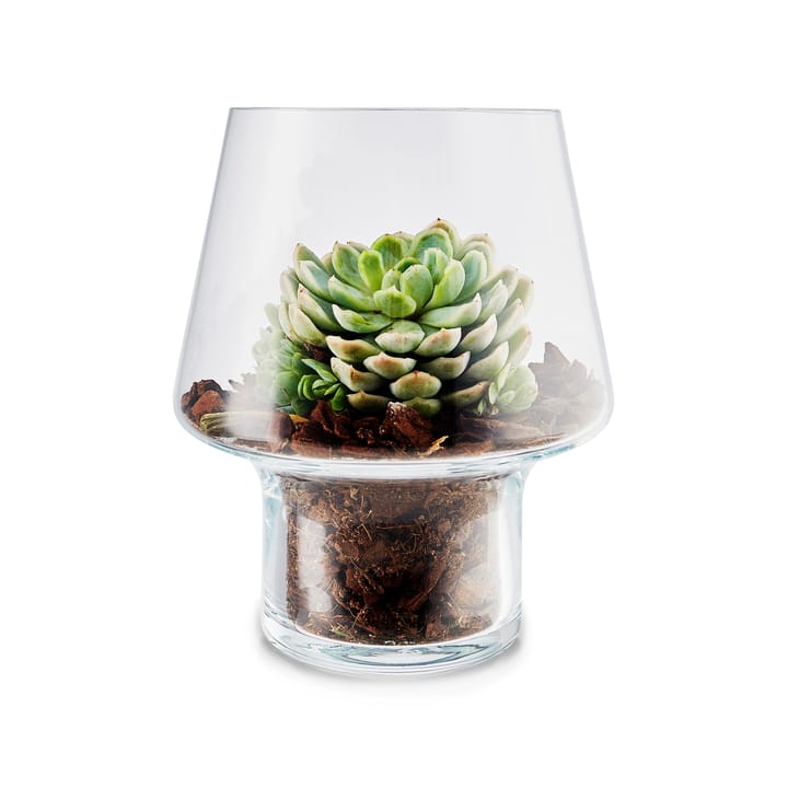 Eva Solo グラス 花瓶 for succulents, Ø15 cm Eva Solo | エバソロ