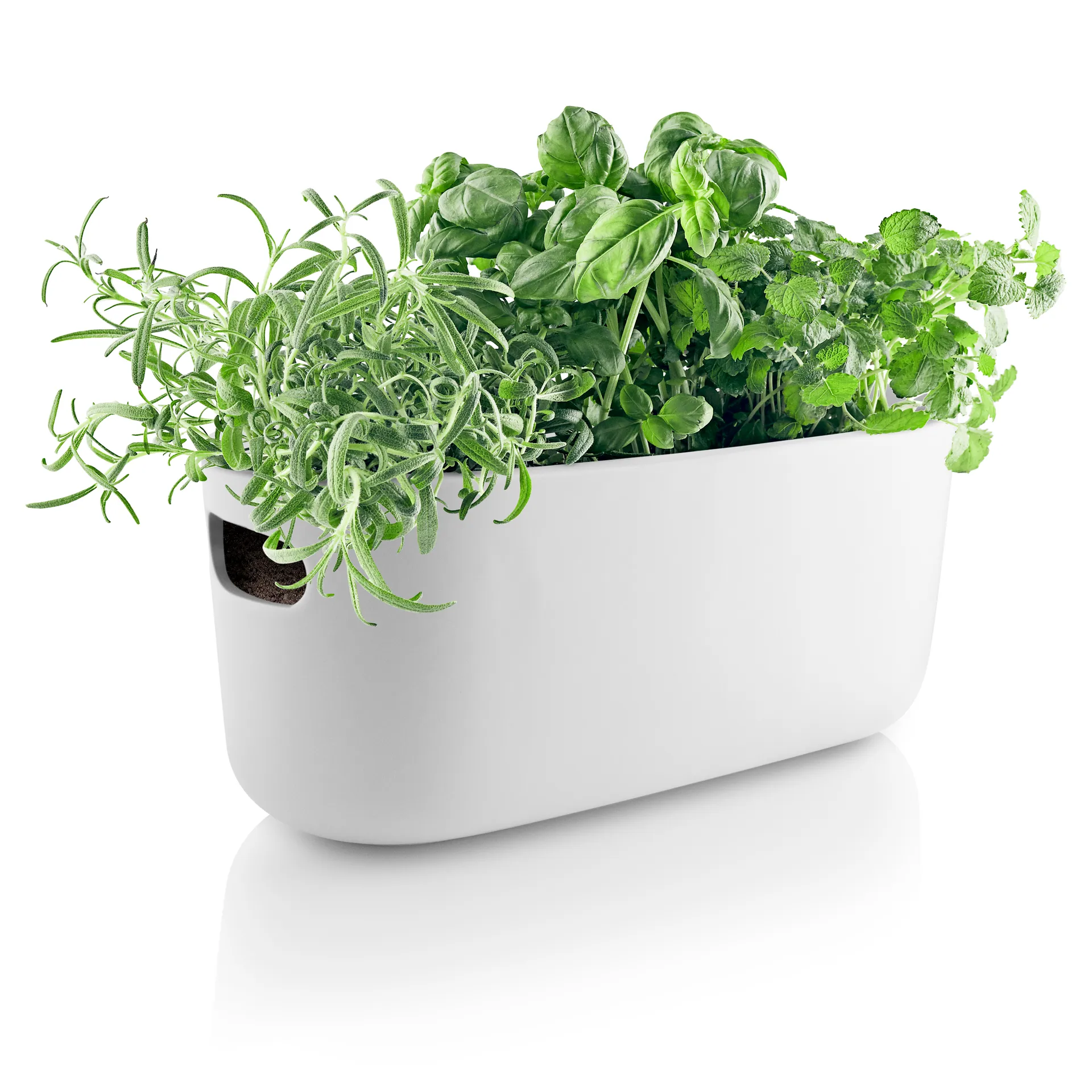Eva Solo self-watering herb オーガナイザー, white Eva Solo | エバソロ