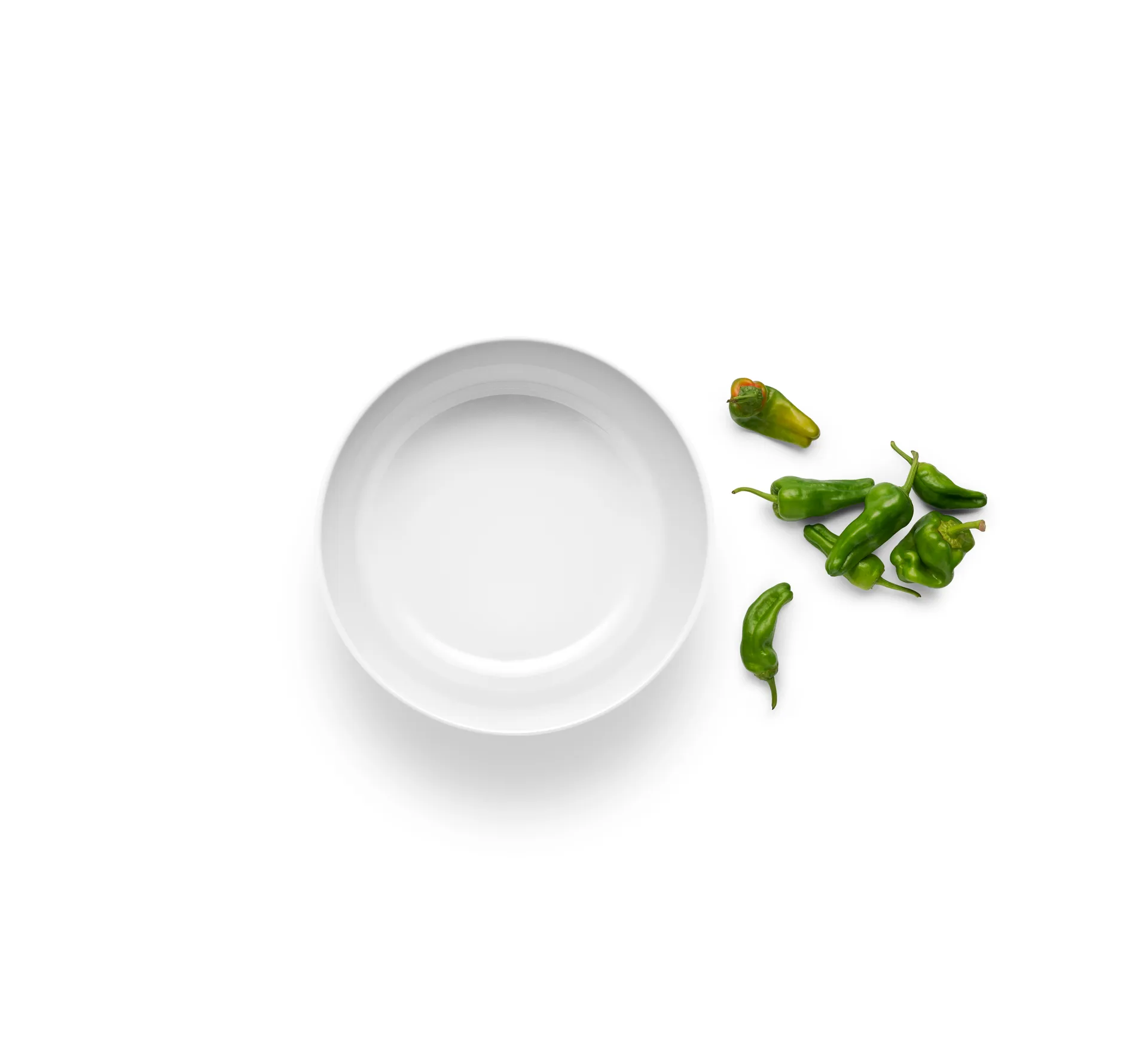 Eva Trio Legio Nova ボウル ホワイト, 3.75 L Eva Solo | エバソロ